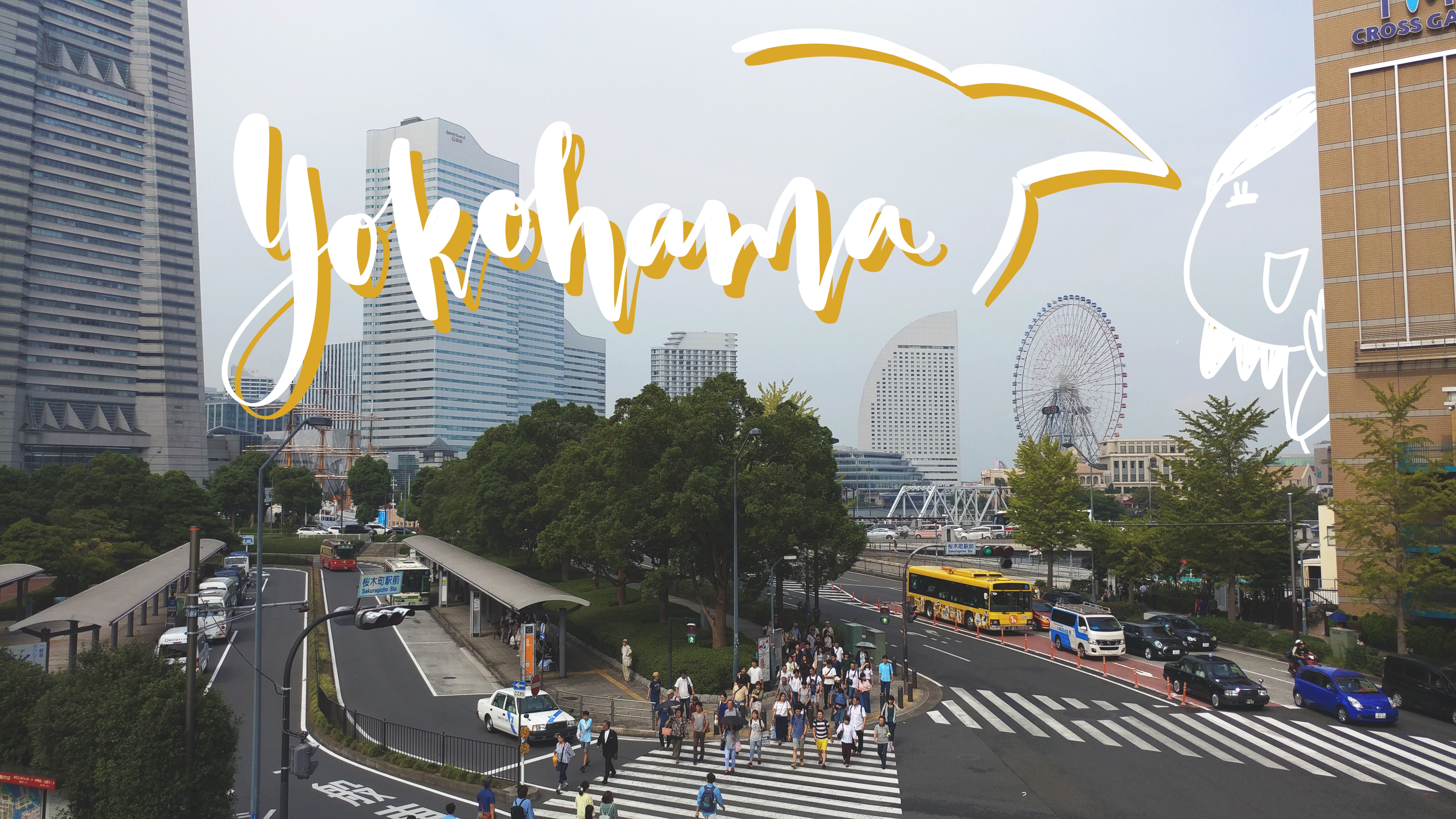 Day 14: New Hope 14th Anniversary